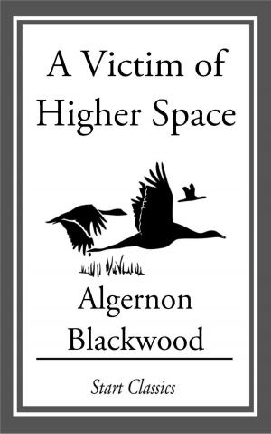 Book cover of A Victim of Higher Space