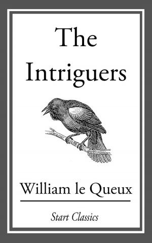 Cover of the book The Intriguers by Washington Irving