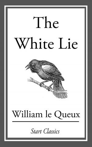 Book cover of The White Lie