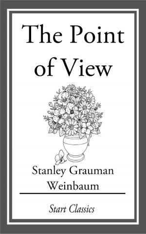 bigCover of the book A Point of View by 