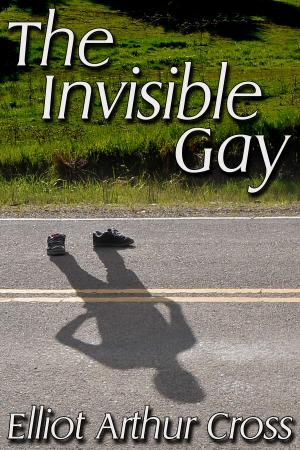 bigCover of the book The Invisible Gay by 