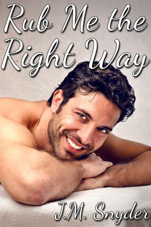 Cover of the book Rub Me the Right Way by J.V. Speyer