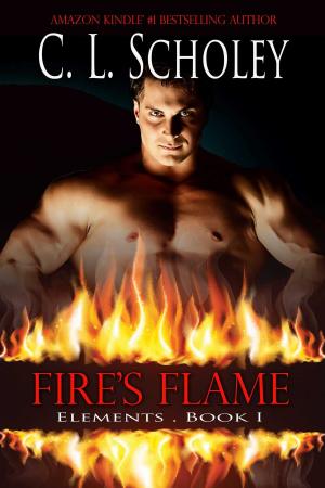 Cover of the book Fire's Flame by Angela Castle