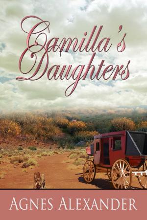Cover of the book Camilla's Daughter by Elaine Cantrell