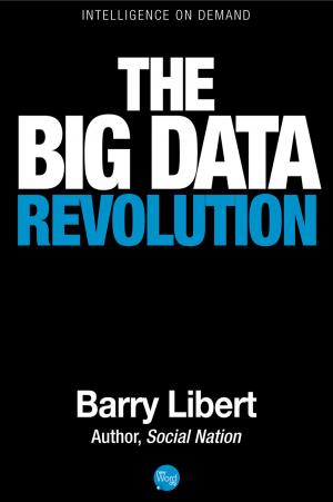 Cover of the book The Big Data Revolution by Jack Bergstrand