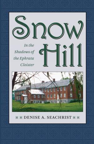 Cover of the book Snow Hill by Verlyn Flieger