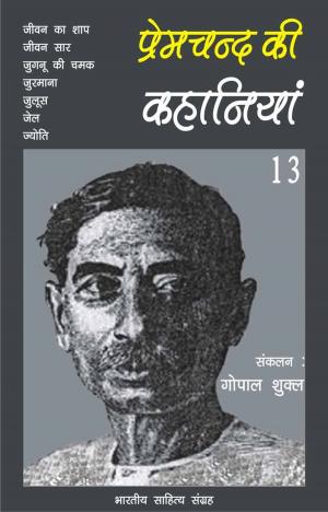 Book cover of Premchand Ki Kahaniyan-13