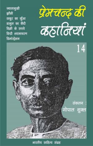 Book cover of Premchand Ki Kahaniyan-14