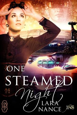 Cover of the book One Steamed Night by Mary Quast