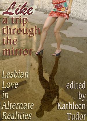 Cover of the book Like a Trip Through the Mirror by Jennifer Levine, Michael M. Jones, Brandi Guthrie