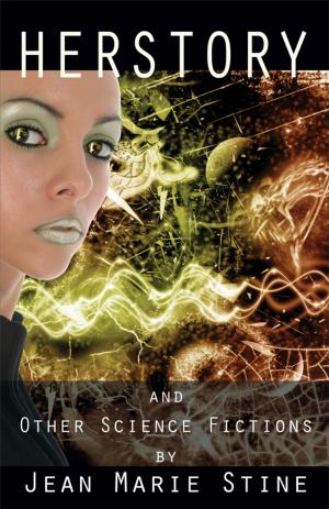 Cover of the book Herstory by Stephen Adams