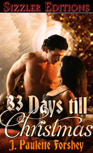 Cover of the book 33 DAYS TILL CHRISTMAS by Nicola C. Matthews