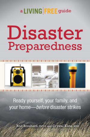 Cover of the book Disaster Preparedness by Ben Andron, Dr. Michael Andron