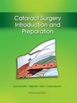 Cover of the book Cataract Surgery by 