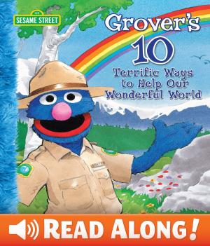 Cover of the book Grover's 10 Terrific Ways to Help Our Wonderful World (Sesame Street Series) by Naomi Kleinberg