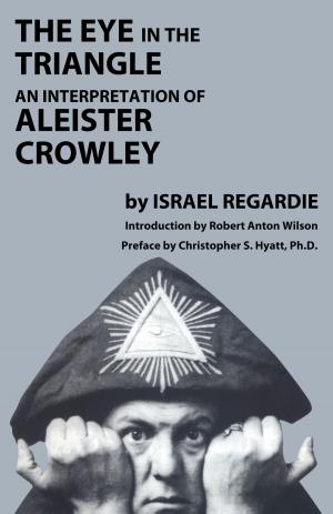 Cover of the book The Eye in the Triangle by Christopher S. Hyatt, Robert Anton Wilson, Israel Regardie