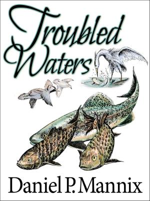Cover of the book Troubled Waters by C. S. Forester