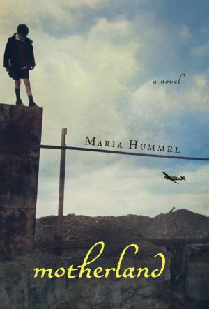 Cover of the book Motherland by Counterpoint