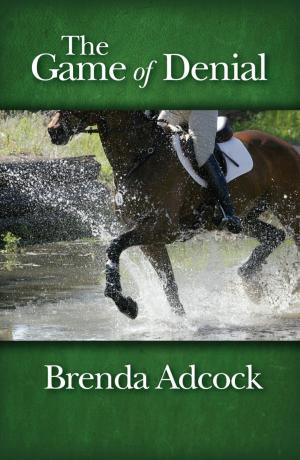 Cover of the book The Game of Denial by Brenda Adcock