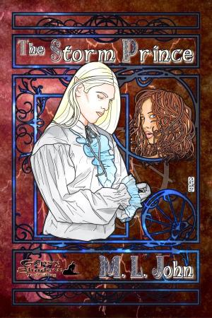 Cover of the book The Storm Prince by C. E. Zaniboni