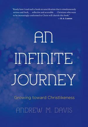 Cover of the book An Infinite Journey by C.M. Needham