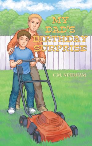 Cover of the book My Dad's Birthday Surprise by Janice Cole Hopkins