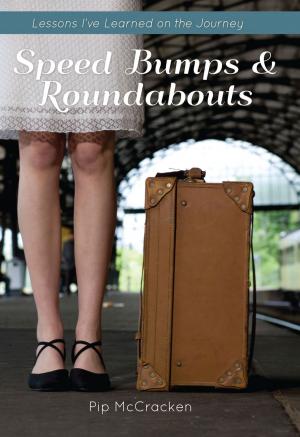 Cover of the book Speed bumps and Roundabouts by Janice Cole Hopkins