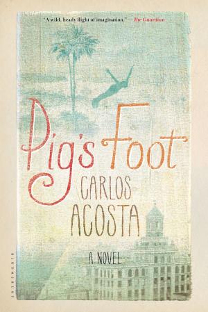 Cover of the book Pig's Foot by P. Howard, Jenő Rejtő