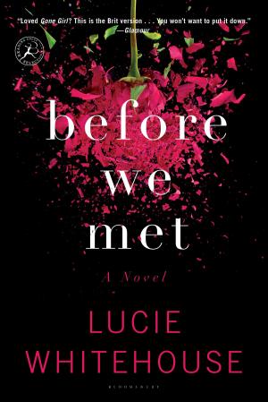 Cover of the book Before We Met by DC Moore