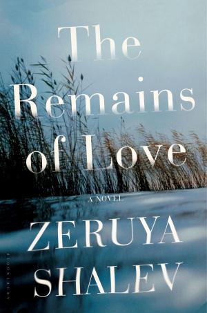 Cover of the book The Remains of Love by Isabelle Torrance