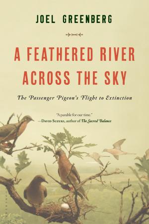 Cover of the book A Feathered River Across the Sky by 