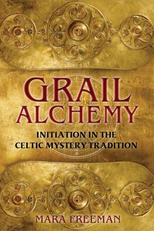 Cover of the book Grail Alchemy by Samantha Fumagalli