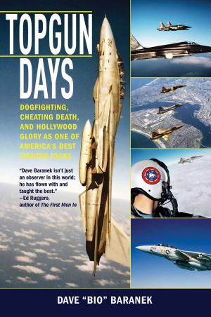 Cover of the book Topgun Days by David Bramwell, Petra Joy