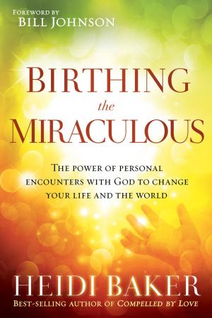Cover of the book Birthing the Miraculous by Amos Yong, Vinson Synan