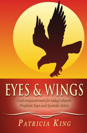 Book cover of Eyes and Wings