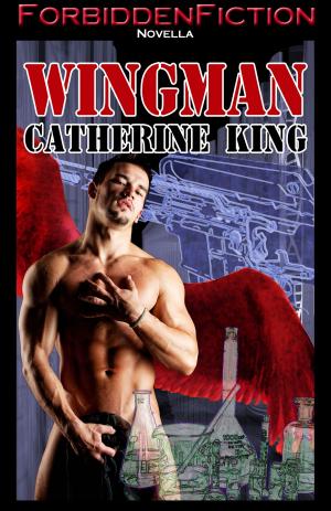 Cover of the book Wingman by E.E. Grey