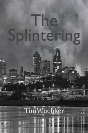 Cover of the book The Splintering by C. B. Ruiz