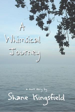 Cover of the book A Whimsical Journey by Dan Greenup