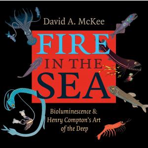 Cover of the book Fire in the Sea by Tanya Rowe