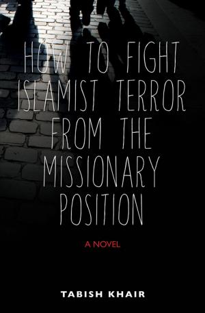 Book cover of How to Fight Islamist Terror from the Missionary Position