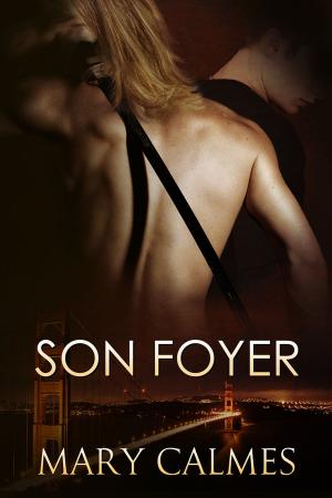 Cover of the book Son foyer by Mickie B. Ashling