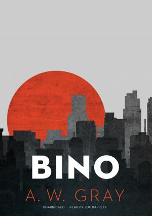 Cover of the book Bino by Glenn Harris