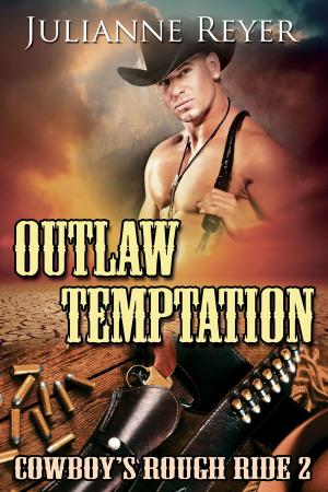 Cover of the book Outlaw Temptation: Cowboy's Rough Ride 2 by EN McNamara