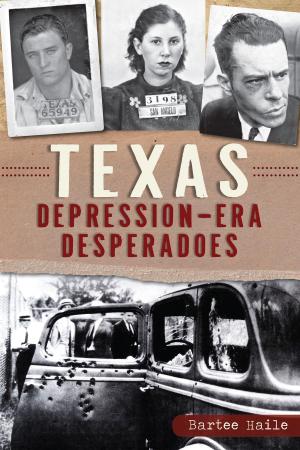 Book cover of Texas Depression-era Desperadoes