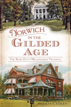 Cover of the book Norwich in the Gilded Age by John M. Clark