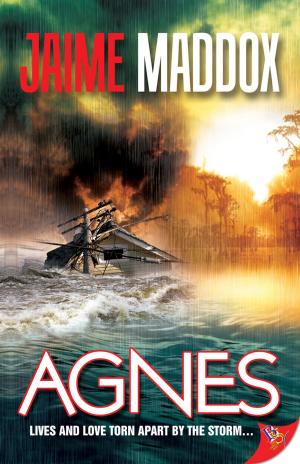 Cover of the book Agnes by Julie Cannon