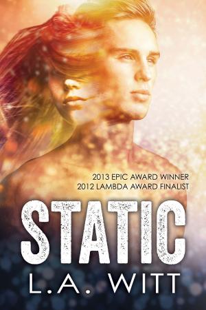 Cover of the book Static by Rachel Haimowitz, Heidi Belleau