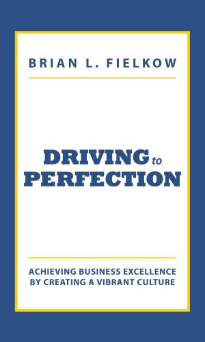Cover of the book Driving to Perfection by Napoleon Bonaparte Higgins, Jr., MD
