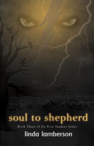 bigCover of the book Soul to Shepherd by 