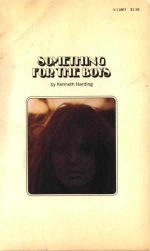 Cover of the book Something for the Boys by Norman Singer